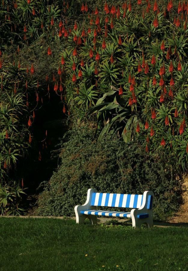 Azenhas Do Mar Cottage Sintra Bagian luar foto